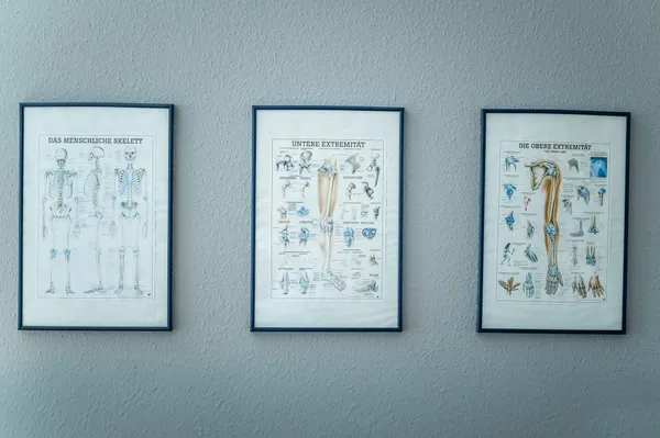 Therapieraum für den Bereich Orthopädie in der Praxis Hirschfelde